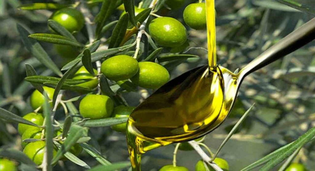Olio d'oliva perchè costa così tanto