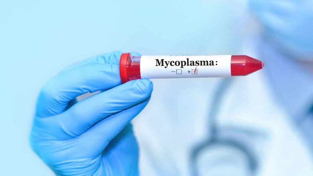 polmonite mycoplasma