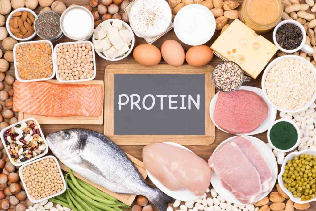 proteine a cosa servono