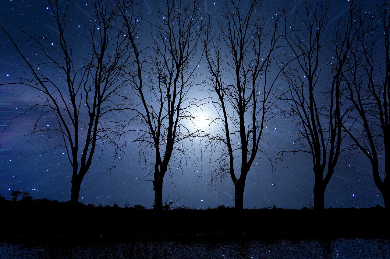 Immagine di un cielo stellato con una citazione profonda sulla buonanotte.