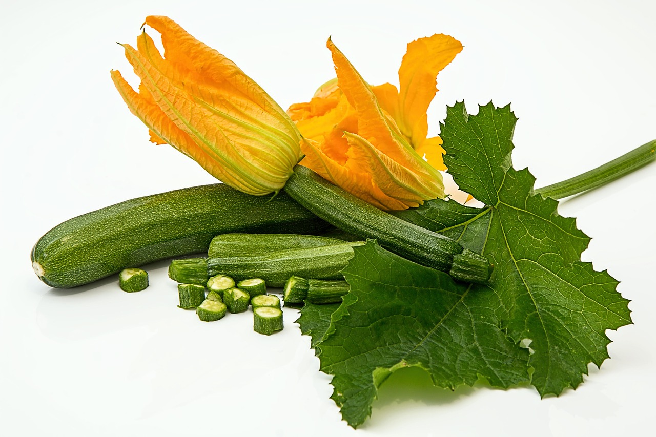 Zucchine verdi fresche coltivate in vaso con foglie rigogliose e sole splendente.