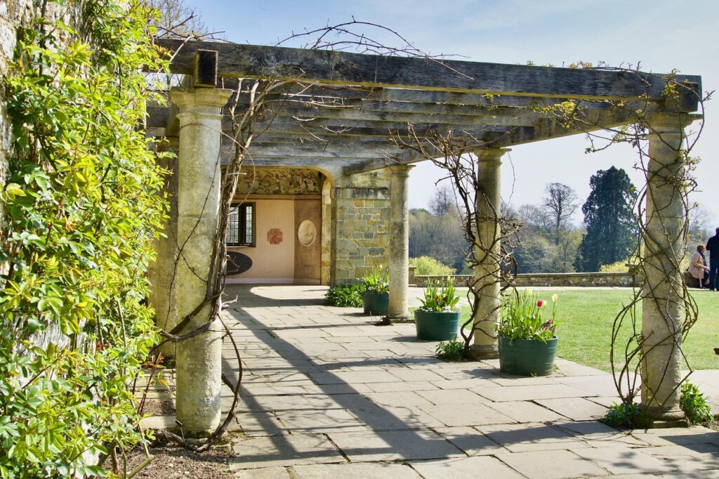 Rose rampicanti: ecco come farle arrampicare su muri e pergolati