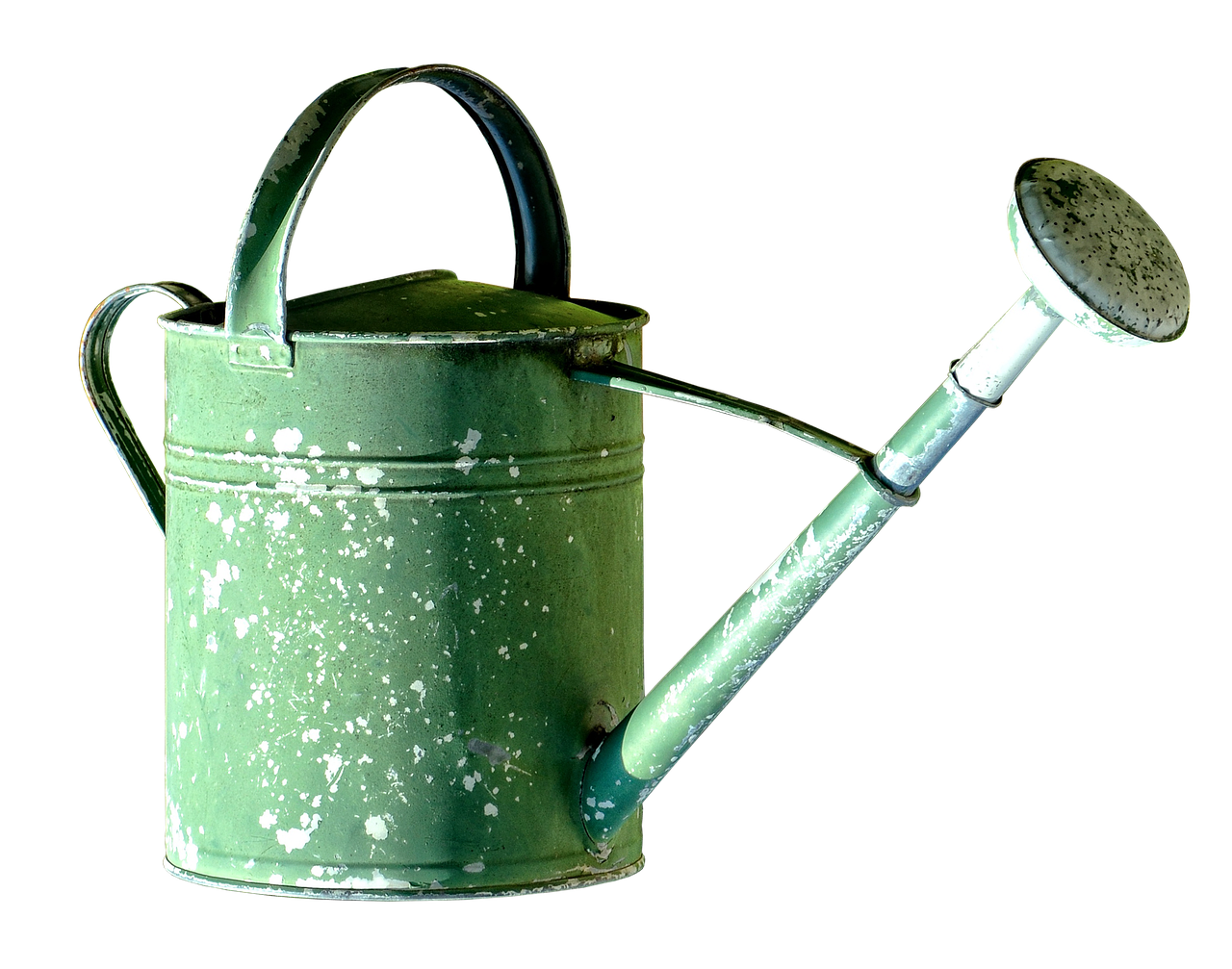 Rimedio naturale per eliminare la ruggine dalle piante, con ingredienti visibili e piante affette.