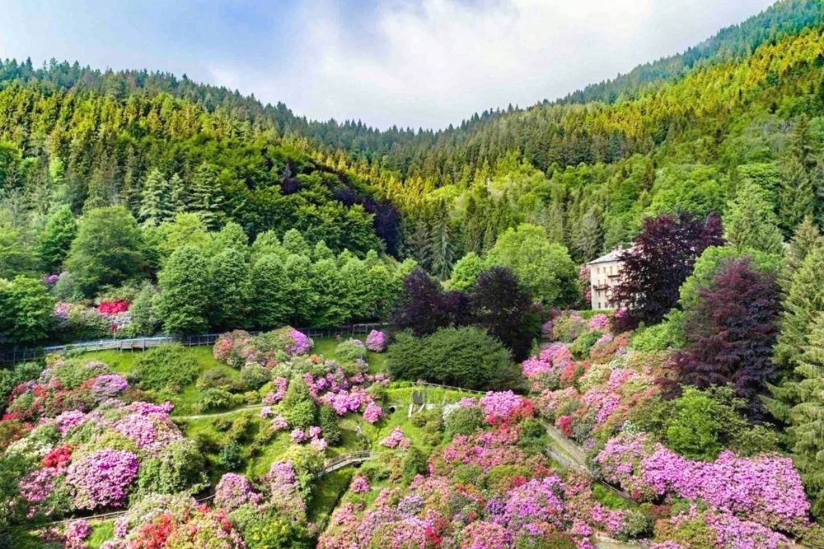 Borgo ligure con orto botanico segreto, ricco di piante rare e storia, immerso nella natura.