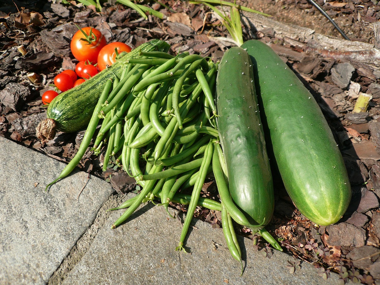 Immagine di un orto rigoglioso con piante ben curate e attrezzi per giardinaggio.