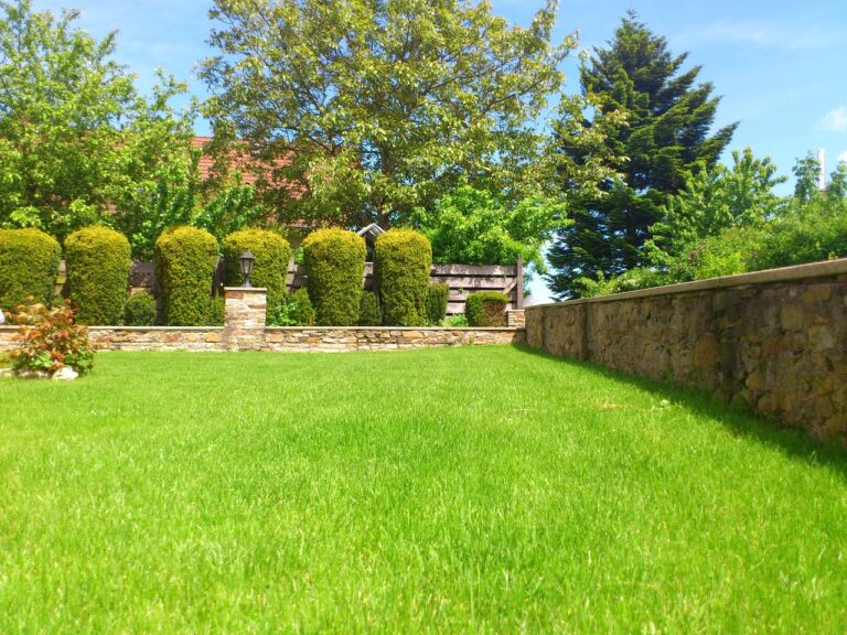 Come avere un prato verde anche a luglio